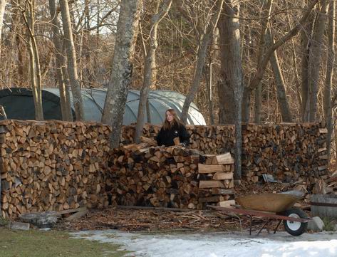 Wood Pile